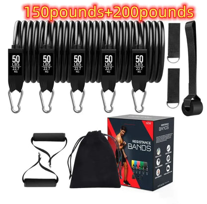 Full-Body Workout Resistance Band Kit